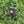 Load image into Gallery viewer, Drip Bag <Brazil(白) / Ethiopia(黒)>
