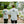 Load image into Gallery viewer, T-shirts Desmond Arsan
